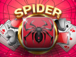 Spider Solitaire Mancister